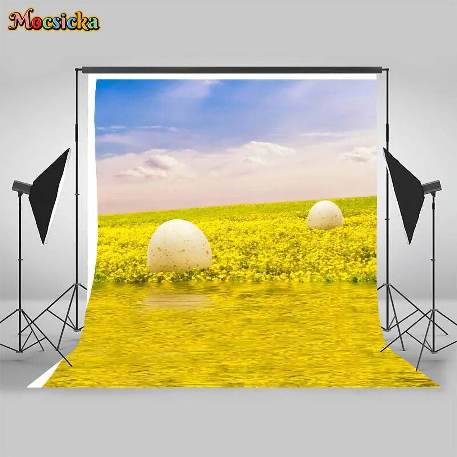 Easter Photography Backdrop Studio Easter Eggs Grassland Forest ...