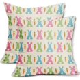 thumbnail image 1 of Easter Pillow Covers 18x18 Set of 2 Spring Cute Bunny Carrot Blue Pink Green Print Easter Themed Decorative Throw Pillow Cases Outdoor Farmhouse Decoration for Sofa Couch Bed, 1 of 6