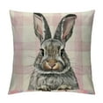 thumbnail image 1 of Easter Pillow Covers Inch Set of, Pink Buffalo Plaid Bunny Decor Spring Farmhouse Throw Pillows Easter Decorations Rabbit Pink Pillowcase Seasonal Outdoor Cushion Case for Couch Home, 1 of 5