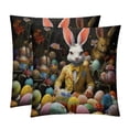 thumbnail image 1 of Easter Pillow Covers with Unique Patterns - Set of 2, Chair Pillow Covers for Sofa, Couch, Bed - Available in 16x16, 18x18, 20x20 Inches for Home Decor and Gifts, 1 of 6