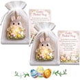 thumbnail image 1 of Easter Pocket Hug, Easter Bunny Pocket Hugs with Prayer Card, Emotional Support Bunny, EasterDay Basket Stuffers Gift for Friends, Family, 1 of 8
