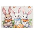 thumbnail image 1 of Easter Polyester Non-Slip Outdoor Carpet Door Mat - Machine Washable Door Rugs, 1 of 6