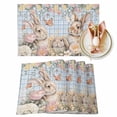 thumbnail image 1 of Easter Rabbits Placemats Set of 2, Spring Butterflies Floral Leaf Table Mats Washable Heat-Insulation Non-Slip Place Mats for Kitchen Dinner Table Indoor Outdoor Decor,13x19 Inch Blue Plaid, 1 of 9