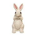 thumbnail image 1 of Easter Rattan Effect Resin Bunny Easter Decor,Table Rabbit Easter Decorations,Spring Bunnies Decoration Statue Figurine for Home Farmhouse (6 inch, Stand), 1 of 2