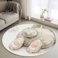 thumbnail image 1 of Easter Round Rug 3ft Washable Circle Entryway Rugs Non Slip Spring Watercolor Oil Painting Country Bunny Area Rug Indoor Floor Carpet for Bedroom Kitchen Living Room Home Office Dining Room Nursery, 1 of 8