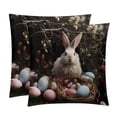 thumbnail image 1 of Easter Velvet Throw Pillow Covers Set of 2 with Unique Patterns for Bed and Sofa, Available in 16x16, 18x18, and 20x20 Inches for Various Occasions, 1 of 6