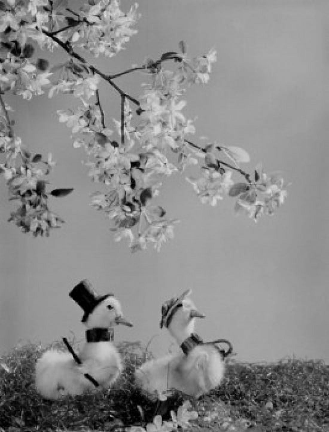 Easter still life with chickens Canvas Art - (24 x 36)