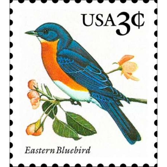 Eastern Bluebird Canvas Art - US POSTAL SERVICE (24 x 24)