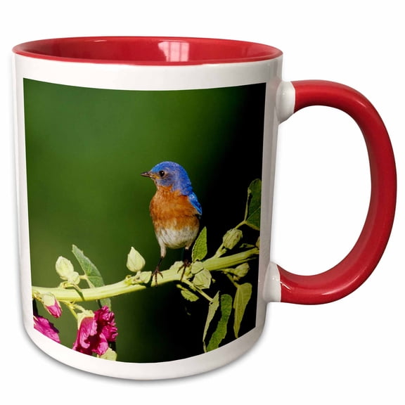 3drose, Eastern Bluebird Male on Hollyhock, Marion County, Illinois, 11oz Two-tone Red Mug