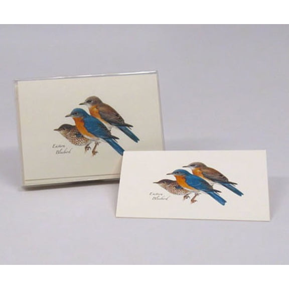Eastern Bluebird Notecard Assortment