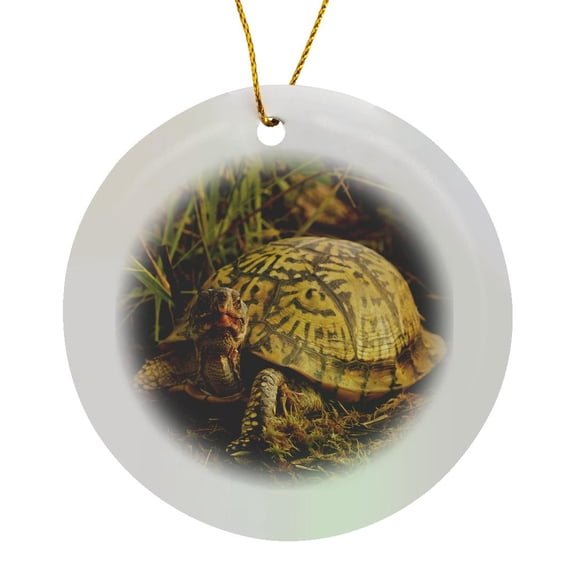 3drose, Eastern Box Turtle, Michigan - Us23 Aje0005 - Adam Jones, Circle Porcelain Ornament