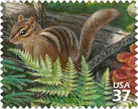 Eastern Chipmunk Canvas Art - US POSTAL SERVICE (24 x 30)