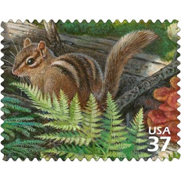 Eastern Chipmunk Canvas Art - US POSTAL SERVICE (24 x 30)