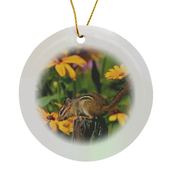 3drose, Eastern Chipmunk on Fence Post Near Flower Garden, Marion Co. Il, Circle Porcelain Ornament