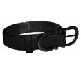 thumbnail image 1 of Eastern Counties Leather Womens Feature Buckle Belt, 1 of 4