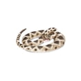 thumbnail image 1 of Safari Ltd. Eastern Diamondback Rattlesnake Figurine - Realistic 40" Model Figure - Educational Toy for Boys, Girls, and Kids Ages 18M+, 1 of 7