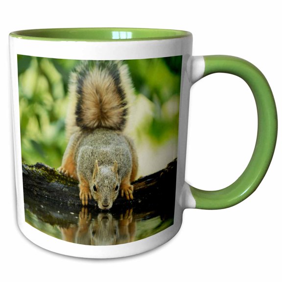 3drose, Eastern Fox Squirrel, Adult Drinking, Hill Country, Texas, 11oz Two-tone Green Mug