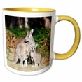 thumbnail image 1 of 3drose, Eastern Grey Kangaroo, Australia - Au01 Mzw0234 - Martin Zwick, 11oz Two-tone Yellow Mug, 1 of 6