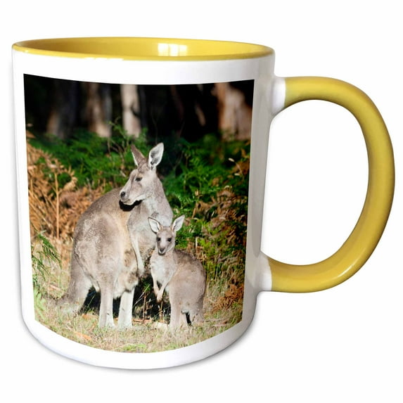 3drose, Eastern Grey Kangaroo, Australia - Au01 Mzw0234 - Martin Zwick, 11oz Two-tone Yellow Mug