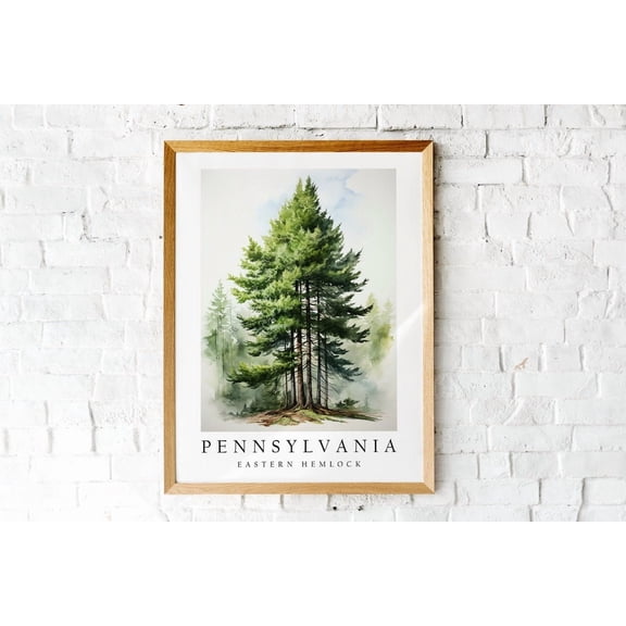 Eastern Hemlock The State Tree Of Pennsylvania Poster Print Wall Décor