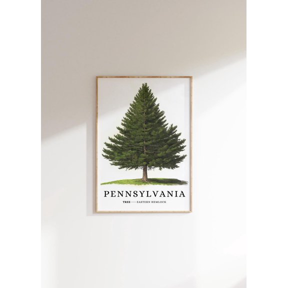 Eastern Hemlock Tree : Pennsylvania State Symbol Unframed Paper Print