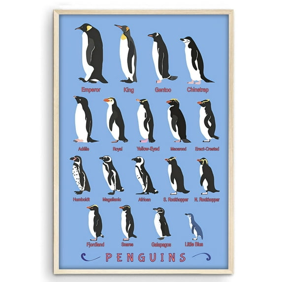 Eastern Print Penguin Species Poster - Retro Wildlife Wall Art with Inspiring Quote, Size 12x18 UNFRAMED