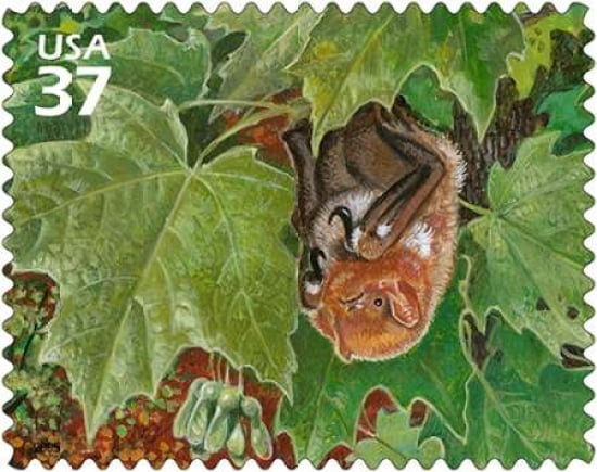 Eastern Red Bat Canvas Art - US POSTAL SERVICE (24 x 30)