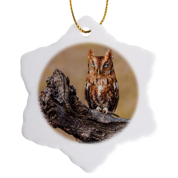 3drose, Eastern Screech Owl, Otus Asio, Roosting in Tree, 3 inch Snowflake Porcelain Ornament