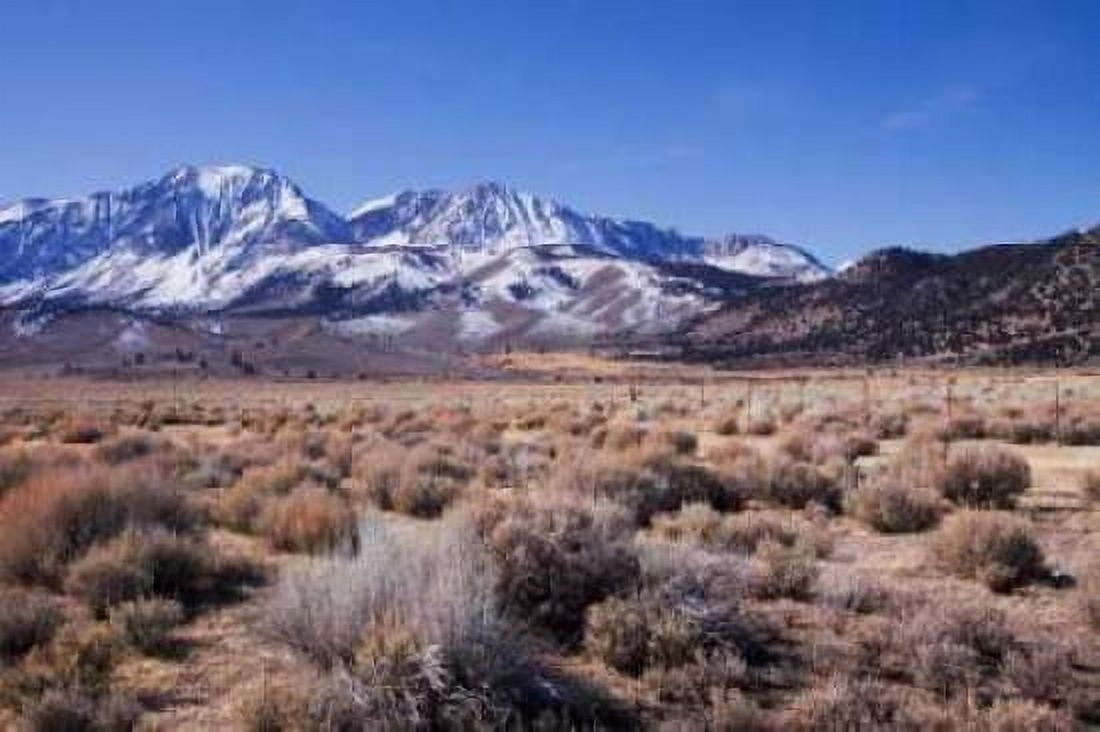 Eastern Sierra I Canvas Art - Rita Crane (20 x 28)