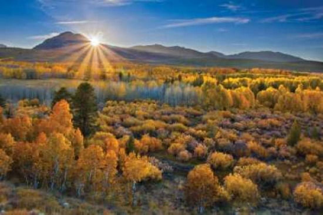 Eastern Sierra II Canvas Art - Mark Geistweite (20 x 28)