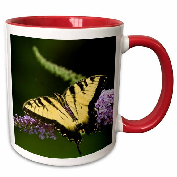 3drose, Eastern Tiger Swallowtail Butterfly on Butterfly Bush, Marion Co. Il, 11oz Two-tone Red Mug