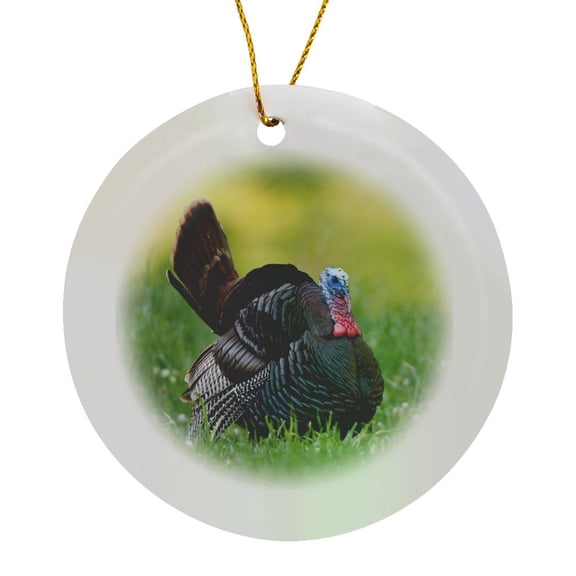 3drose, Eastern Wild Turkey Gobbler Strutting in Field, Holmes Co. Ms, Circle Porcelain Ornament