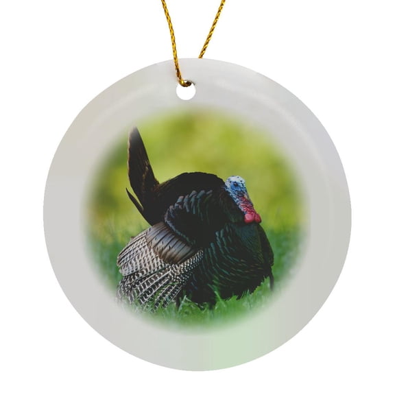3drose, Eastern Wild Turkey Gobbler Strutting in Field, Holmes Co. Ms, Circle Porcelain Ornament