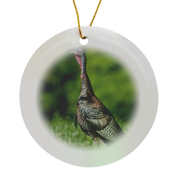 3drose, Eastern Wild Turkey, Meleagris Gallopavo, Jake in Field, Holmes Co. Ms, Circle Porcelain Ornament