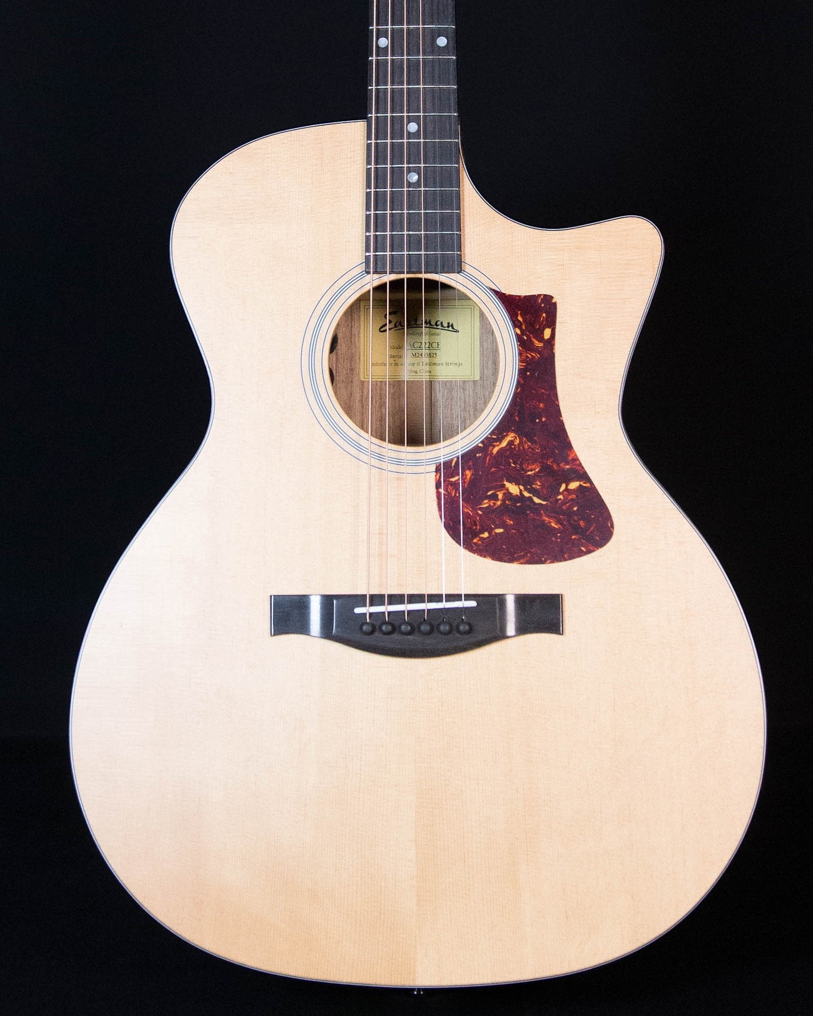 Eastman AC222CE Acoustic/Electric with Bag, Natural