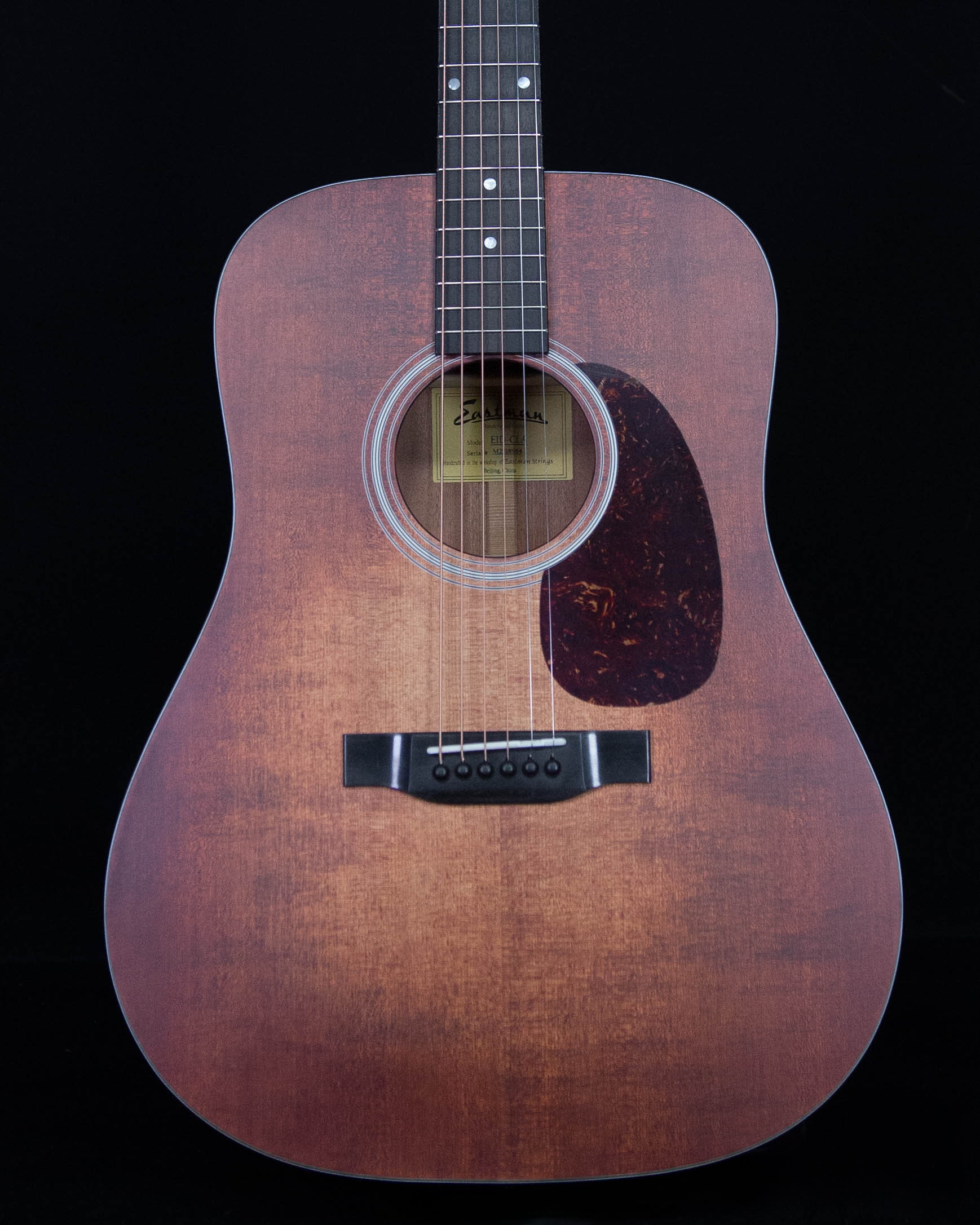 Eastman E1D Acoustic with Bag, Classic