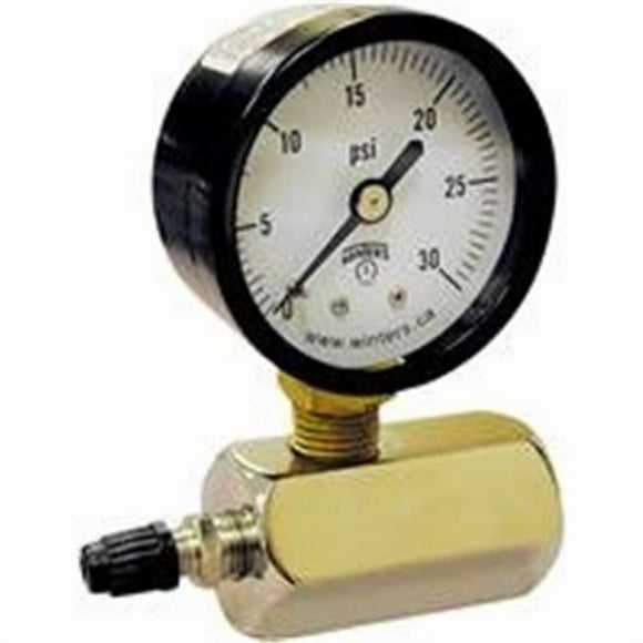 Eastman EZ-FLO Gas Test Pressure Gauge 2" Face 0-30psi 45167
