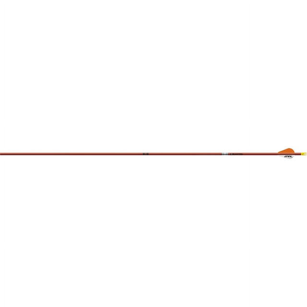 Easton Axis sport flèche de chasse