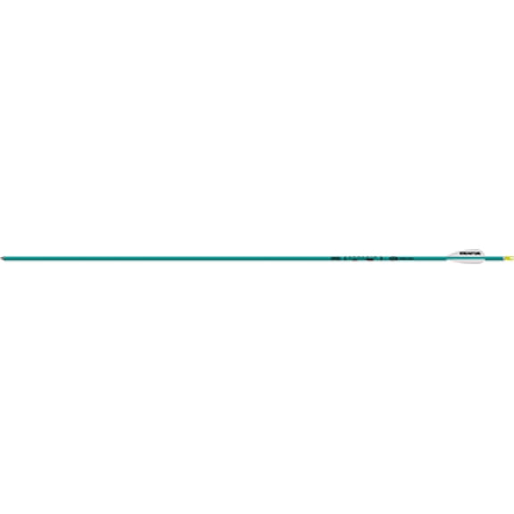 Easton Genesis Arrows