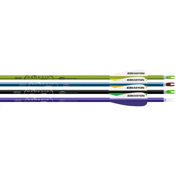 Easton Genesis Arrows