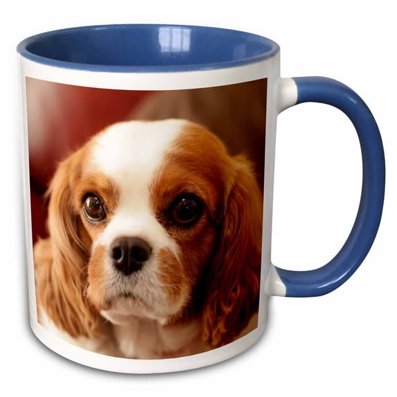 3drose, Easton, Pennsylvania, Usa, Pr., 11oz Two-tone Blue Mug