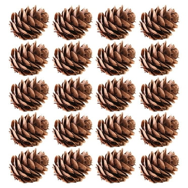 Eastshop 20Pcs Attractive Fake Pine Cone Widely Use Natural Decorative DIY Simulation Pinecone for Festival