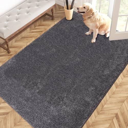 Easy Care Area Rug 4ft x 6ft, Non-Slip Machine Washable Entryway Rug, Dog Door Mat, Stain Resistant Accent Rug for Hallway, Living Room, Bedroom and Mudroom, Light Grey-Dark Grey