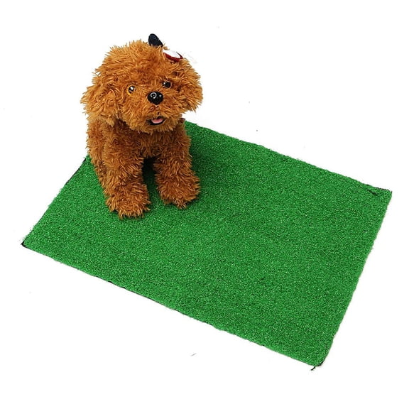 Easy-Clean Indoor Artificial Grass Potty Pad for Dogs & Cats with Removable Tray, Non-Slip Training Mat Eco-Friendly, Leak-Proof, Size M (53x39 cm)