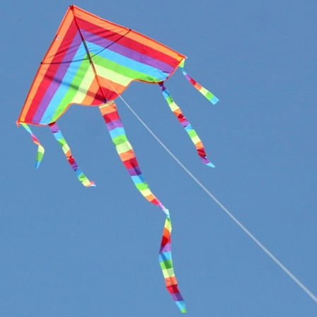 Easy Fly Kite Colorful Rainbow Outdoor Fun for Kids