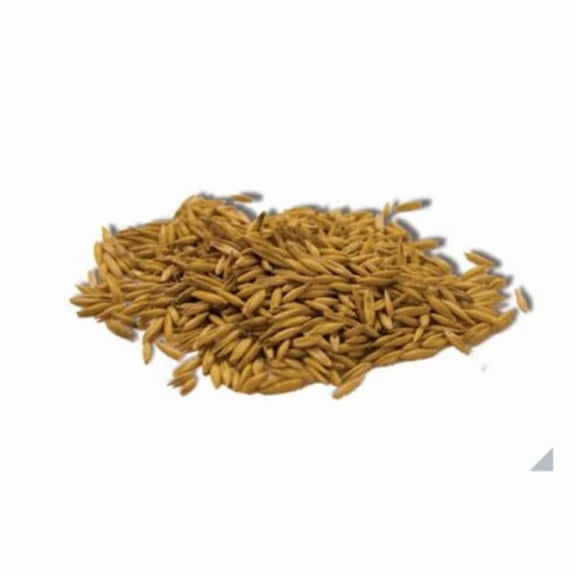 Easy Grow Oat Seed - 4 oz.