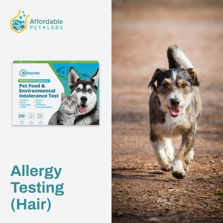 Easy Home Collection Kit Allergy Testing Hair Dogs