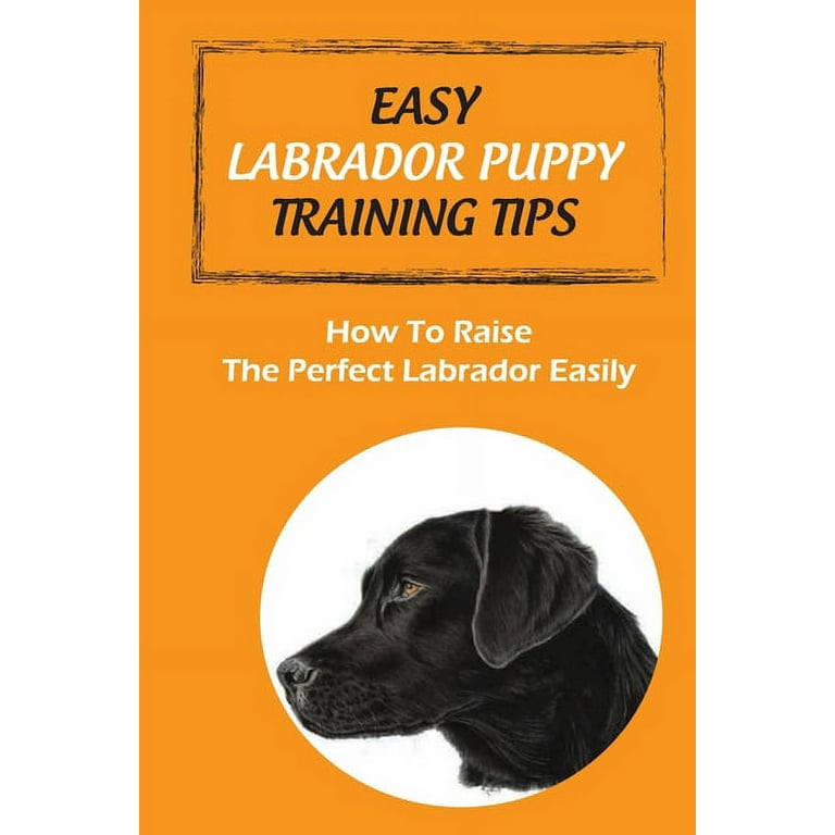 Easy Labrador Puppy Training Tips How To Raise The Perfect Labrador Easily Crate Training Guide For Labrador Paperback