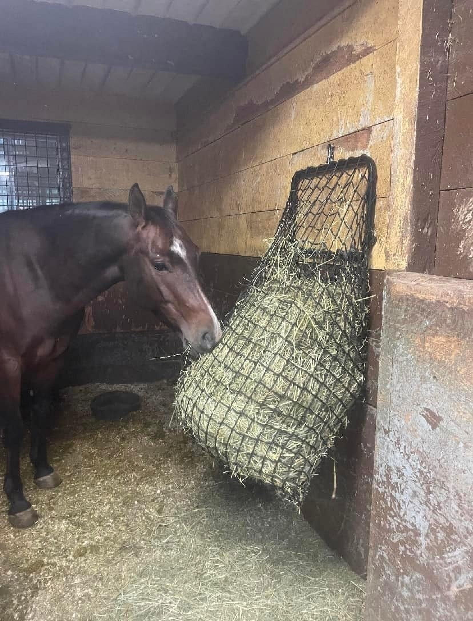 Easy Load HAY NET Stall Feeder - Wall Mount, Slow Feed with Hay Hoop ...