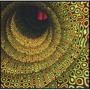 Easy - Magic Seed - Rock - Vinyl